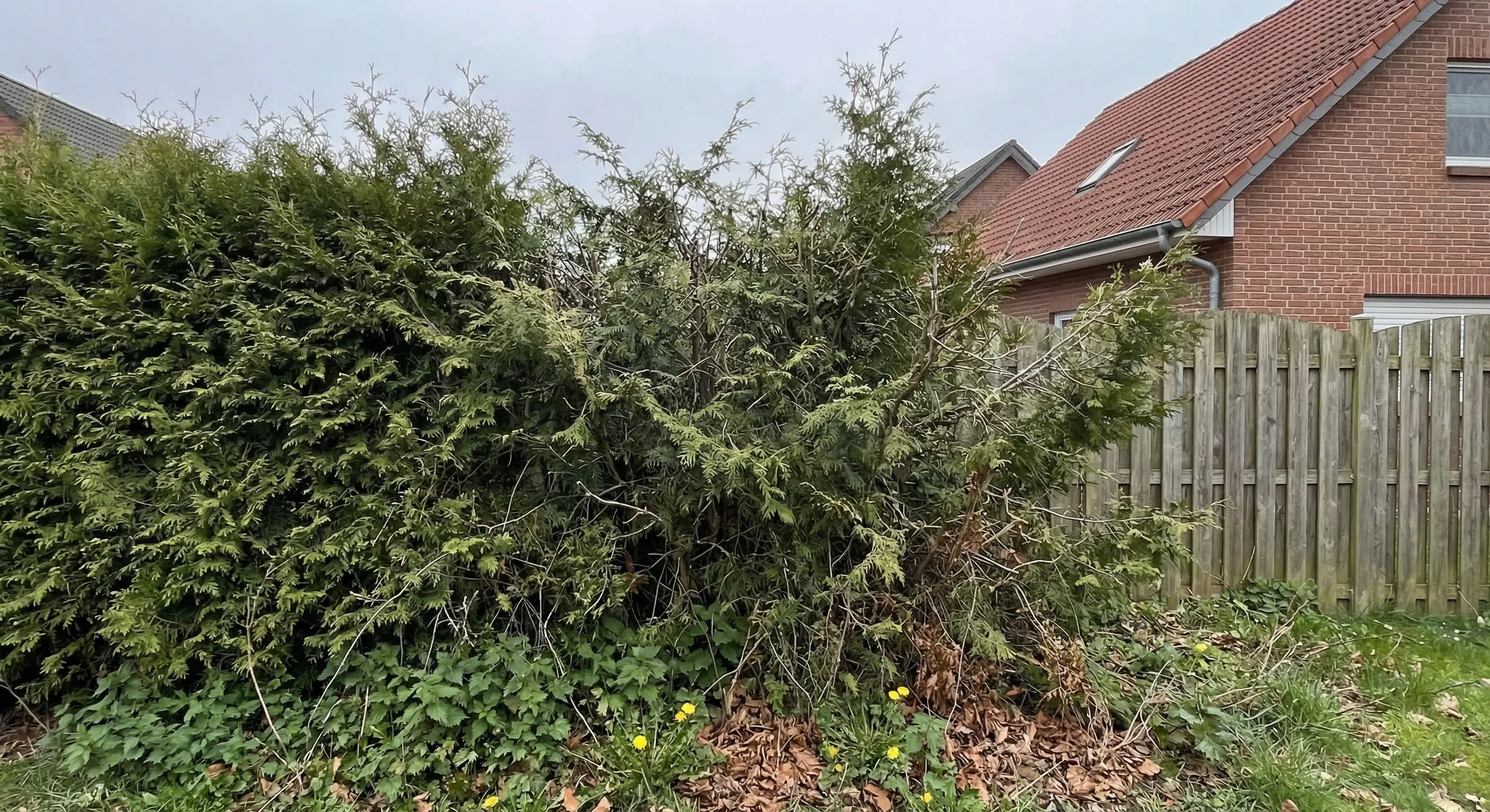 Heckenschnitt & Gartenpflege