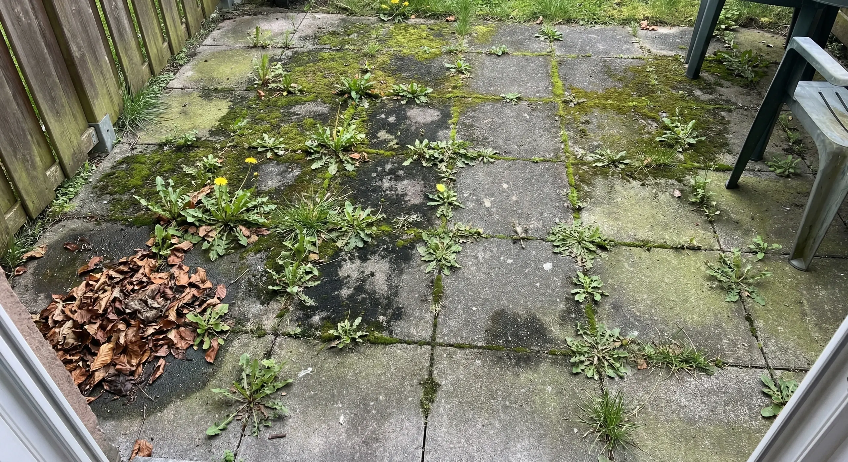 Terrasse in Neuss gereinigt